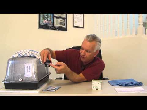 How to germinate your seeds in a germination tray utalizing a heating pad